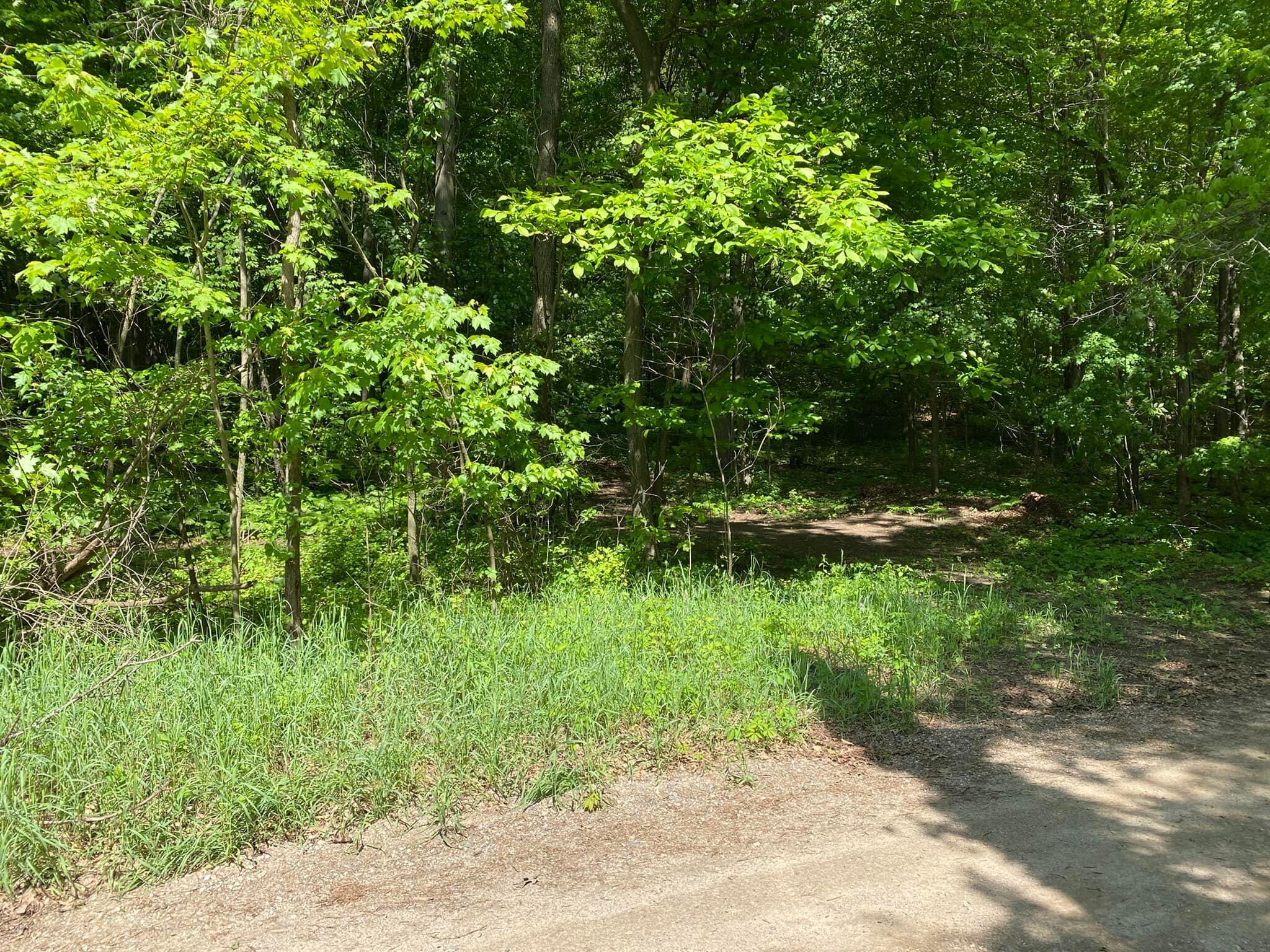 0 Rowe Road Jonesville, MI 49250 - Photo 7 of 8 ROWE6
