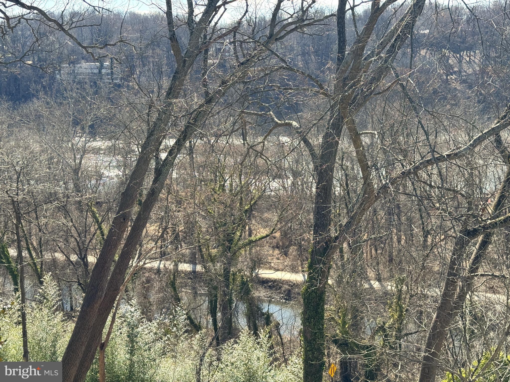 6280 Ridge Drive Bethesda, MD 20816 - Photo 2 of 27 a picture of tree