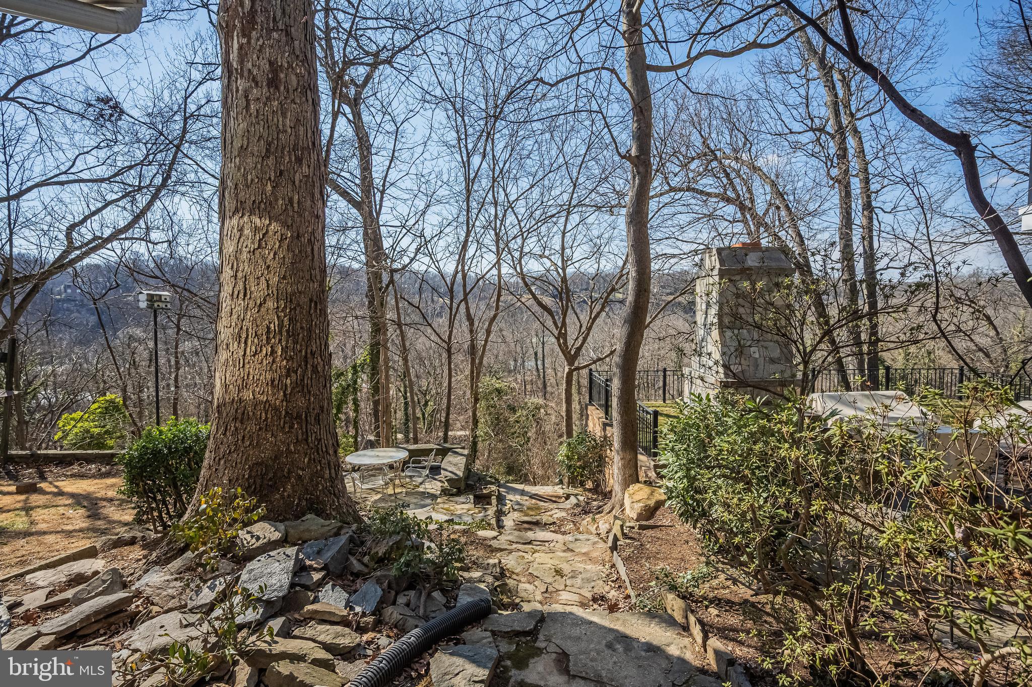 6280 Ridge Drive Bethesda, MD 20816 - Photo 4 of 27 a view of backyard of a house