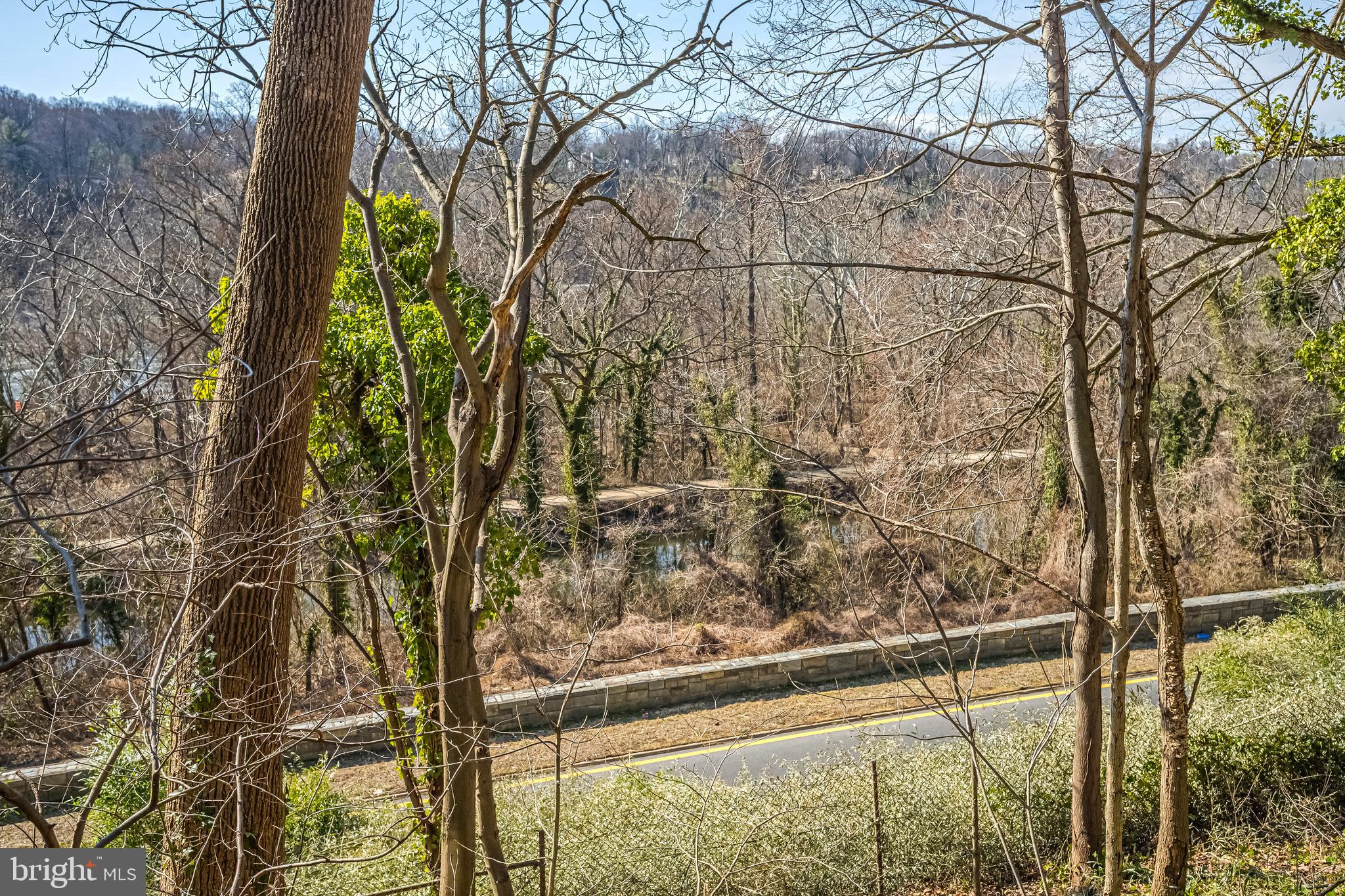 6280 Ridge Drive Bethesda, MD 20816 - Photo 7 of 27 a view of tree from a window