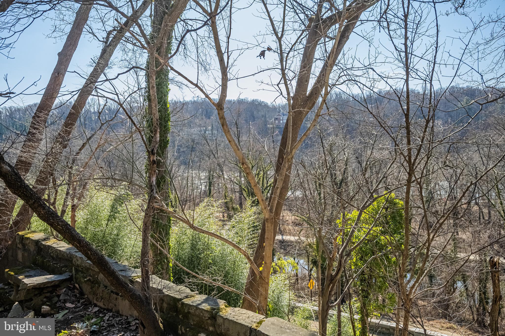 6280 Ridge Drive Bethesda, MD 20816 - Photo 9 of 27 a view of a forest