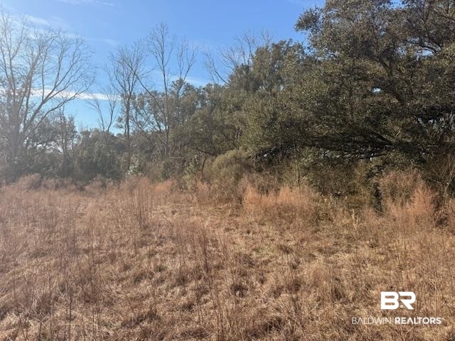 0 Krehling Lane Elberta, AL 36530 - Photo 10 of 10 View of local wilderness