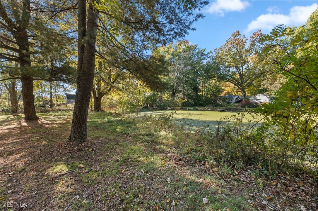 2846 Barber Road Barberton, OH 44203 - Photo 24 of 29 back of yard with pond view