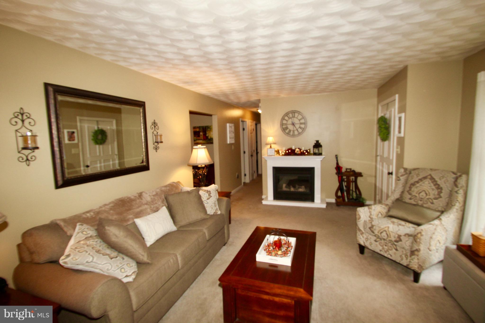 547 Hess Road Elizabethtown, PA 17022 - Photo 11 of 42 LIVING ROOM