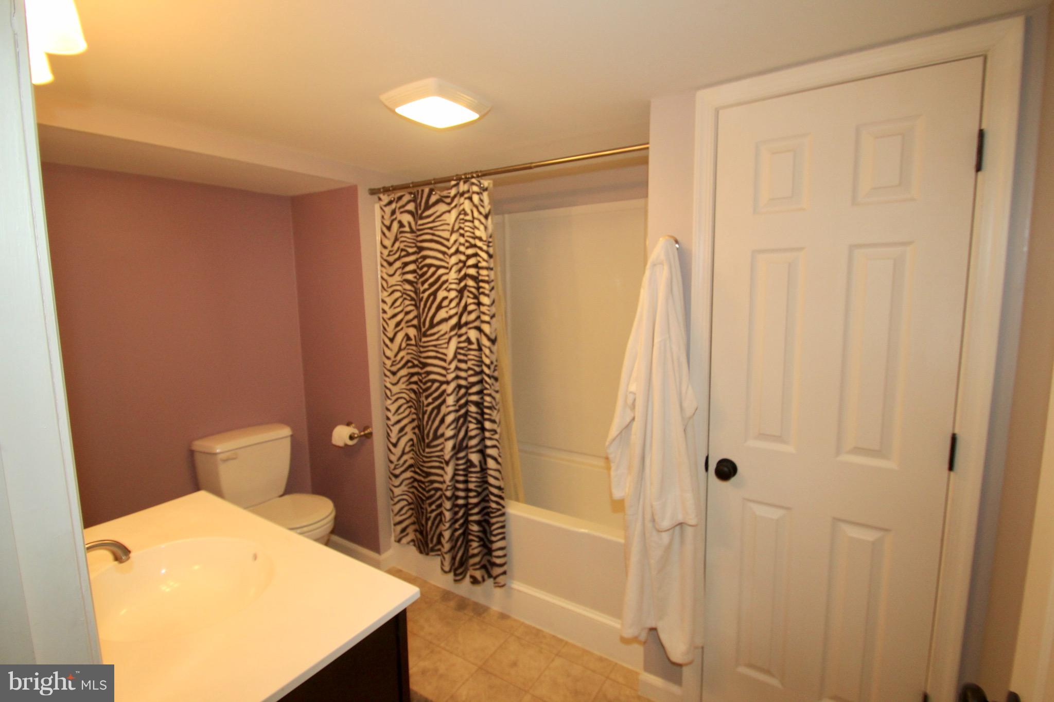 547 Hess Road Elizabethtown, PA 17022 - Photo 40 of 42 LOWER LEVEL BATH