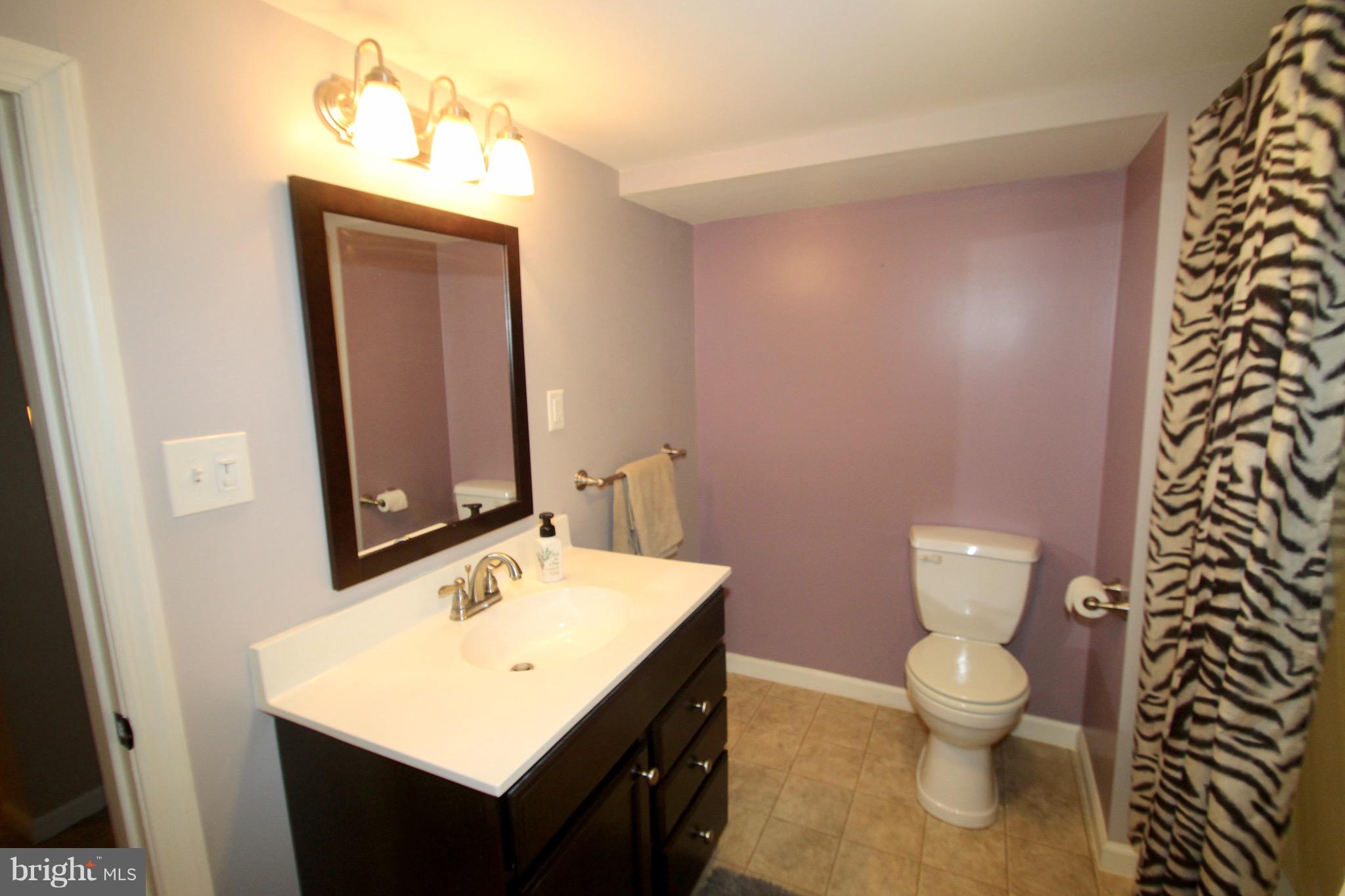 547 Hess Road Elizabethtown, PA 17022 - Photo 41 of 42 LOWER LEVEL BATH