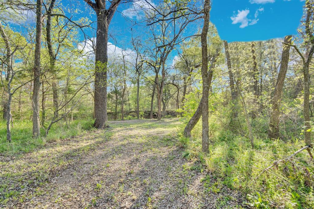 488 Loma Linda Road Palmer, TX 75152 - Photo 11 of 39 a view of outdoor space with trees