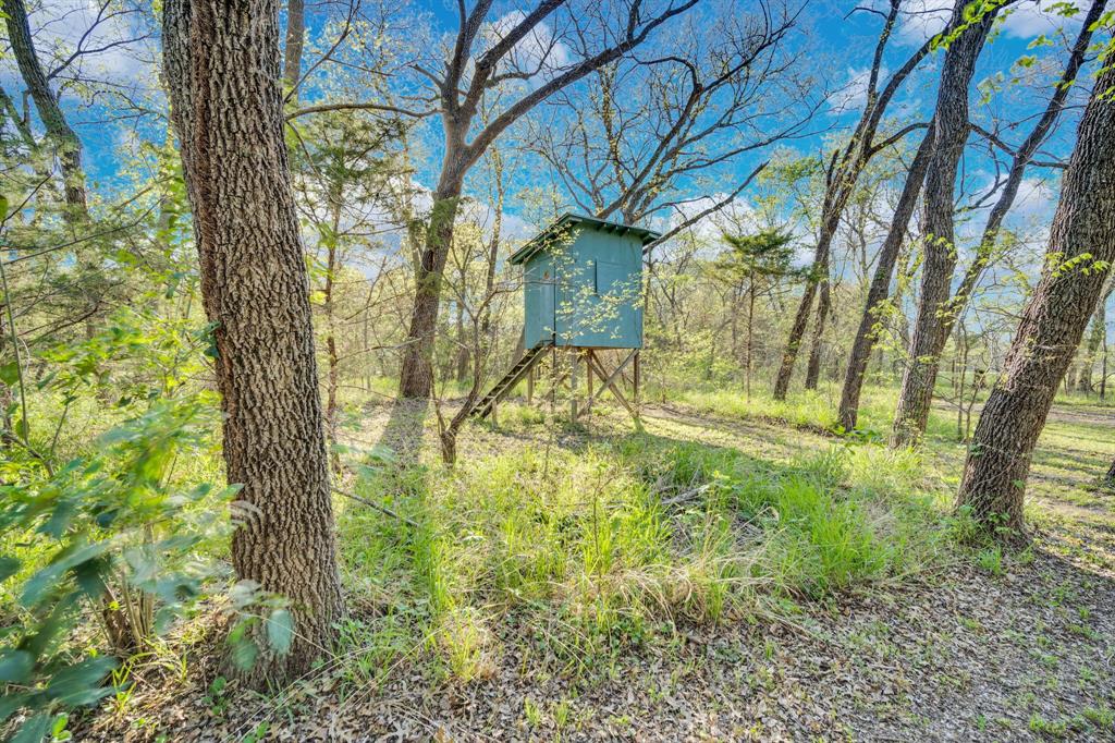 488 Loma Linda Road Palmer, TX 75152 - Photo 12 of 39