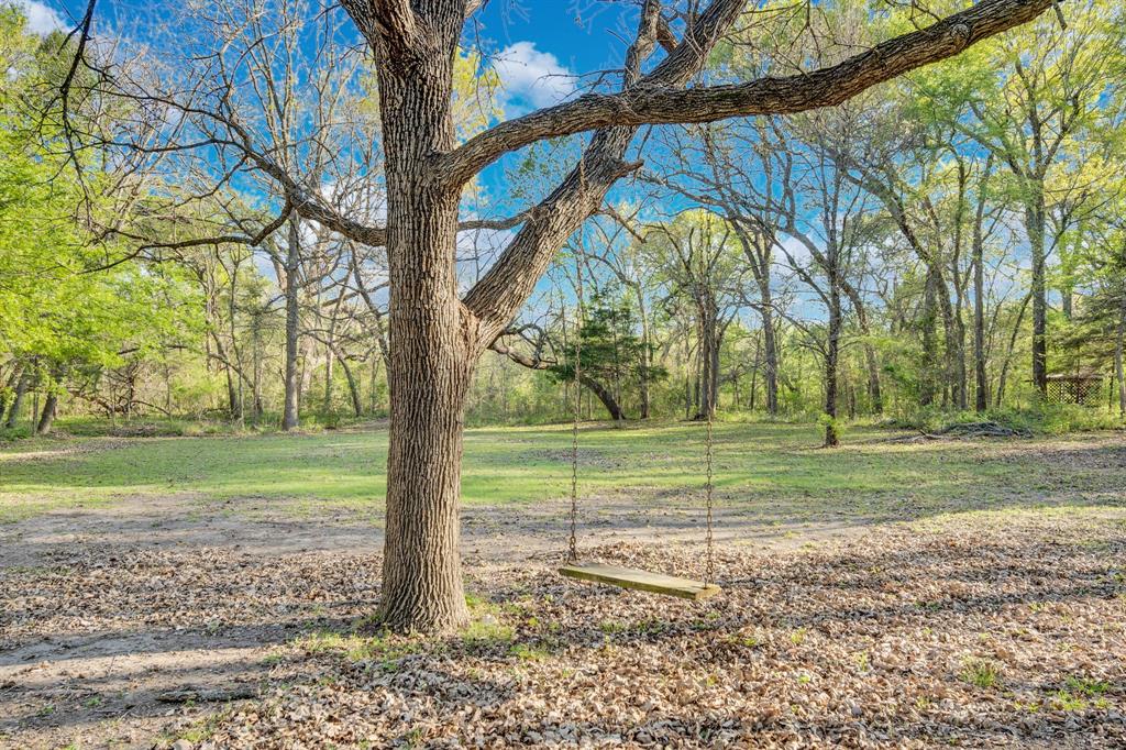 488 Loma Linda Road Palmer, TX 75152 - Photo 14 of 39 a view of a park that has a large tree