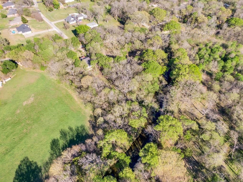 488 Loma Linda Road Palmer, TX 75152 - Photo 35 of 39 a view of a yard with a tree