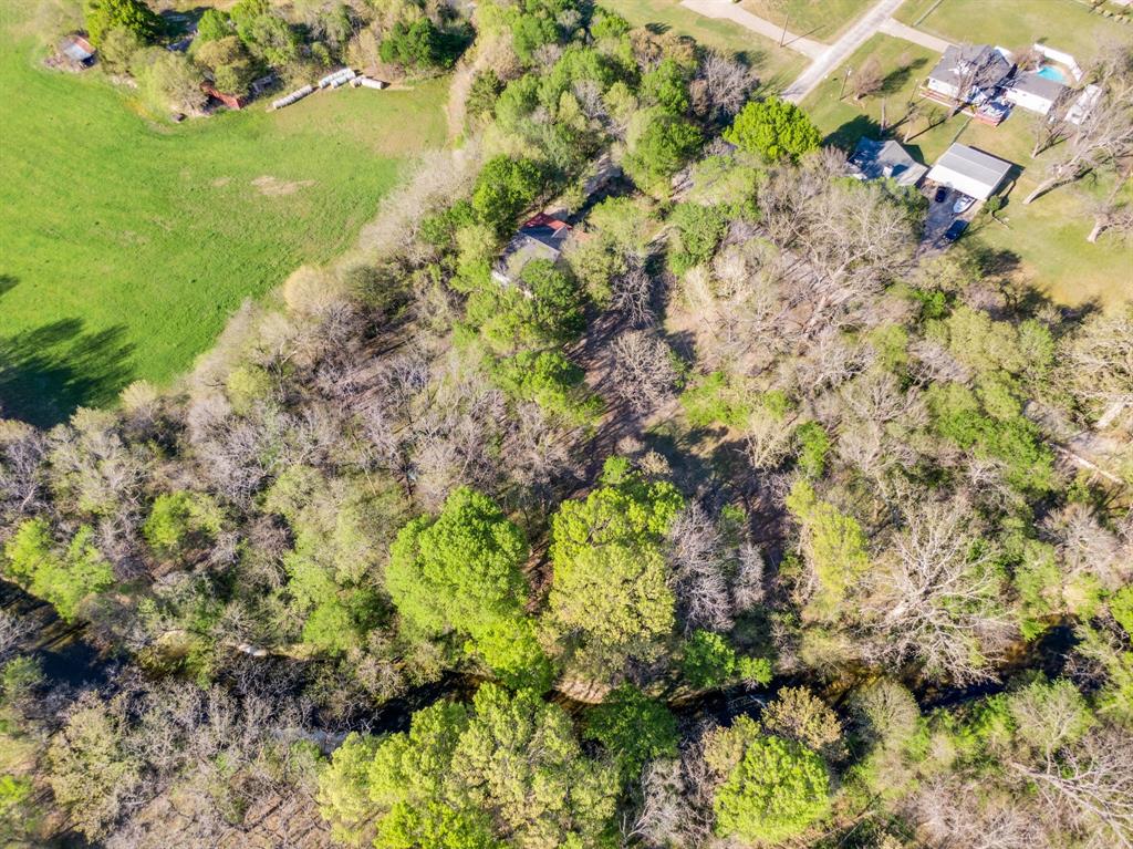 488 Loma Linda Road Palmer, TX 75152 - Photo 37 of 39 a view of a garden with a tree