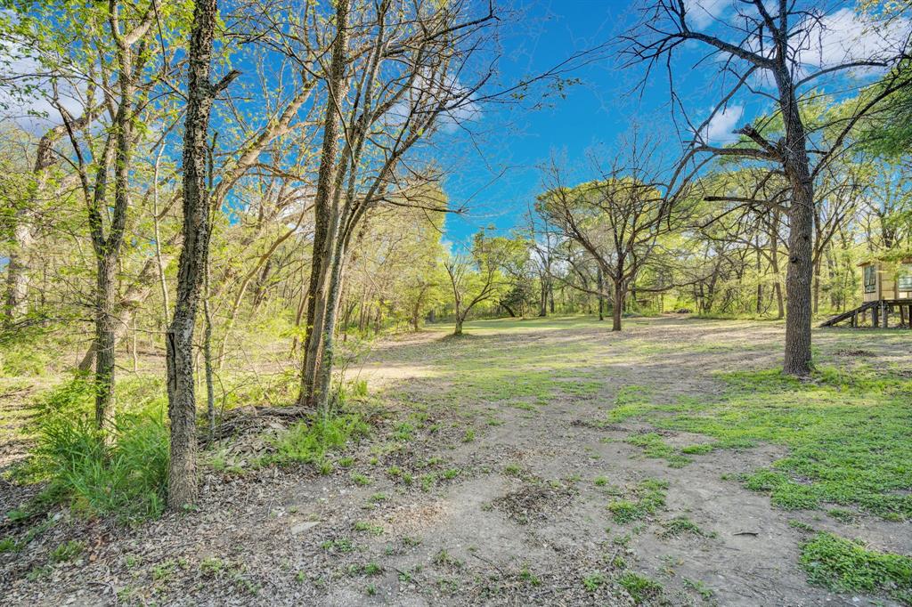 488 Loma Linda Road Palmer, TX 75152 - Photo 8 of 39 a view of yard with trees