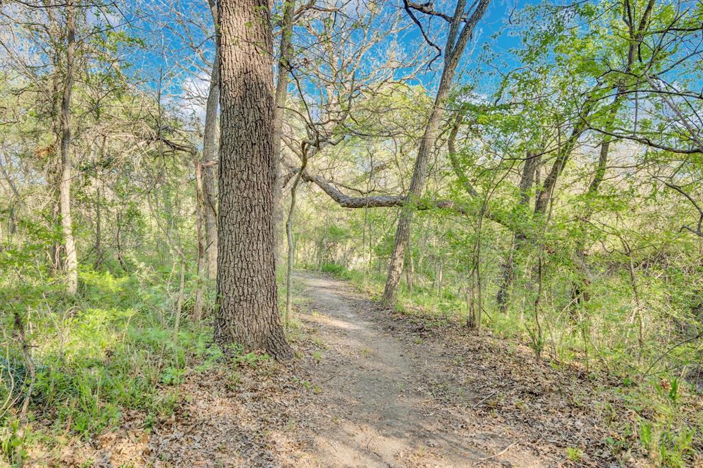 488 Loma Linda Road Palmer, TX 75152 - Photo 10 of 39 a view of backyard with green space
