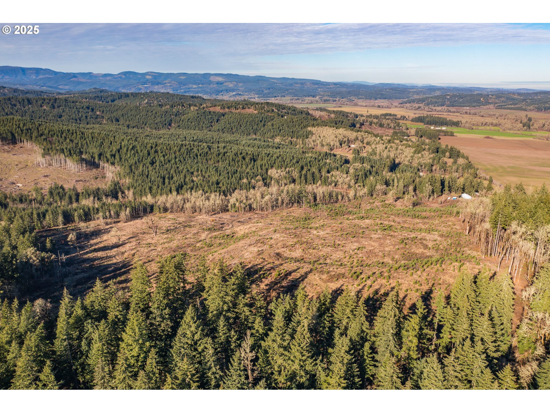 0 Airlie Road Monmouth, OR 97361 - Photo 3 of 33 Gallery Image 3
