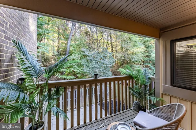 a view of backyard with green space