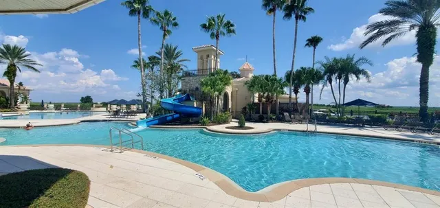 a view of a backyard with plants and palm tree