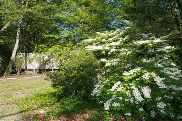967 Drift Road Westport, MA 02790 - Photo 11 of 29 Gallery Image 11