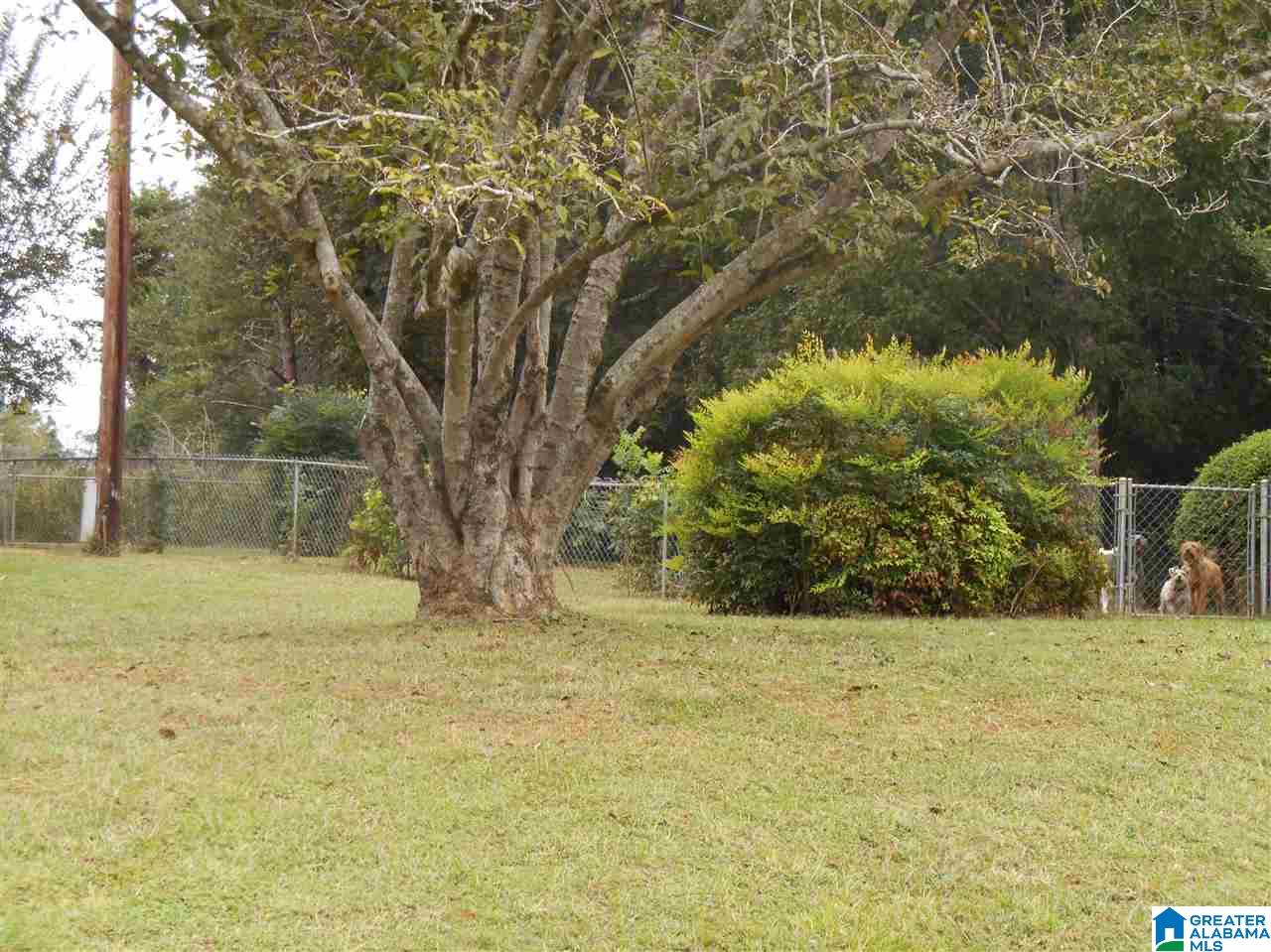 1323 Farmingdale Road Harpersville, AL 35078 - Photo 40 of 42