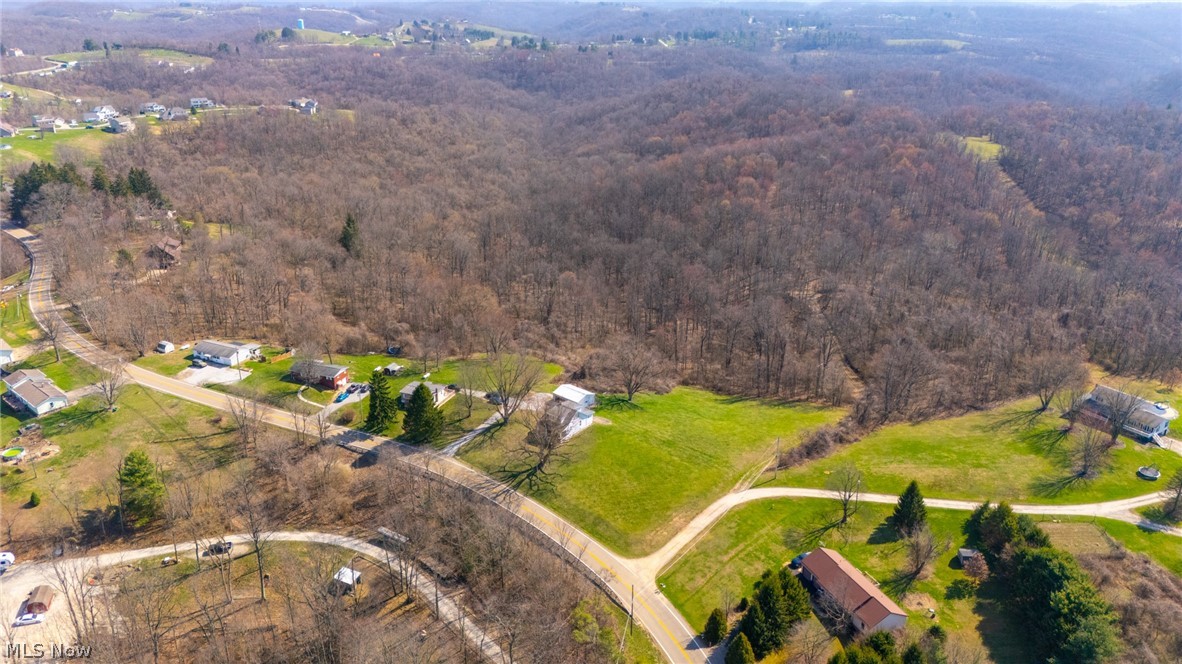 53341 Key Bellaire Road Bellaire, OH 43906 - Photo 8 of 48 Bird's eye view of a forest