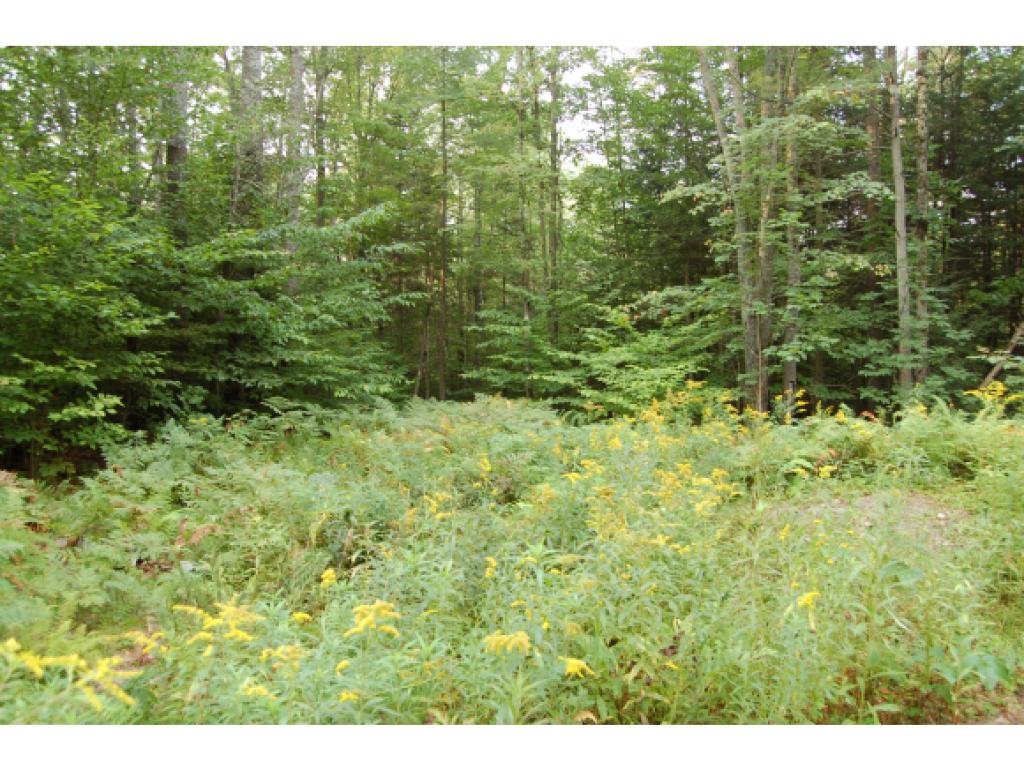 0 Province Road Georges Mills, NH 03751 - Photo 4 of 5 Gallery Image 4