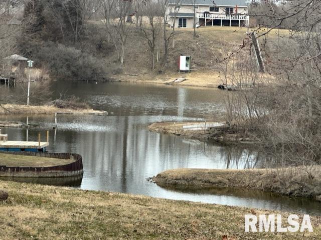 16250 East Cherokee Road Cuba, IL 61427 - Photo 29 of 35