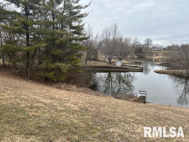 16250 East Cherokee Road Cuba, IL 61427 - Photo 31 of 35
