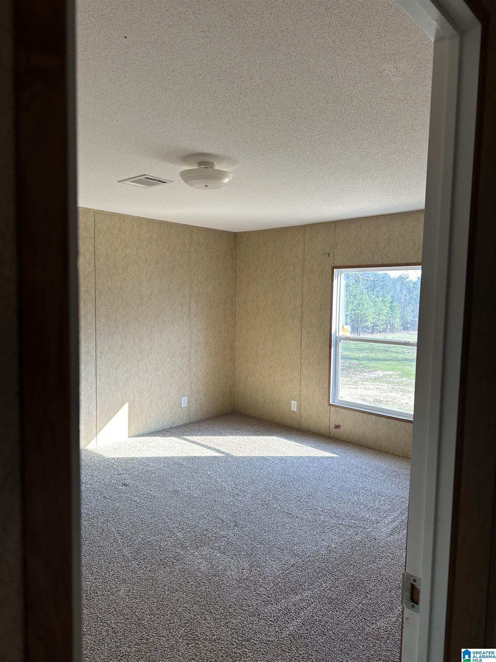 6640 County Road 79 Daviston, AL 36256 - Photo 13 of 20