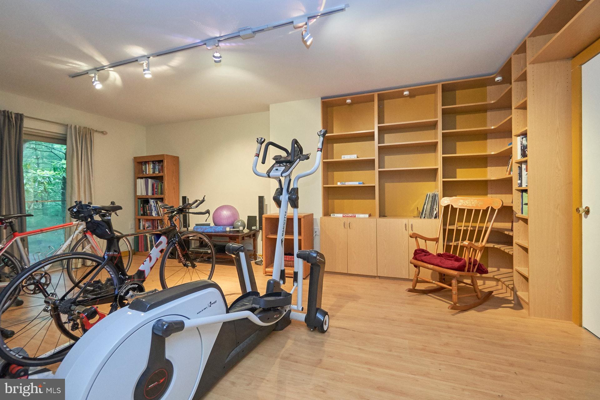 1509 Inlet Court Reston, VA 20190 - Photo 21 of 29 Home gym/walkout lower level facing trees