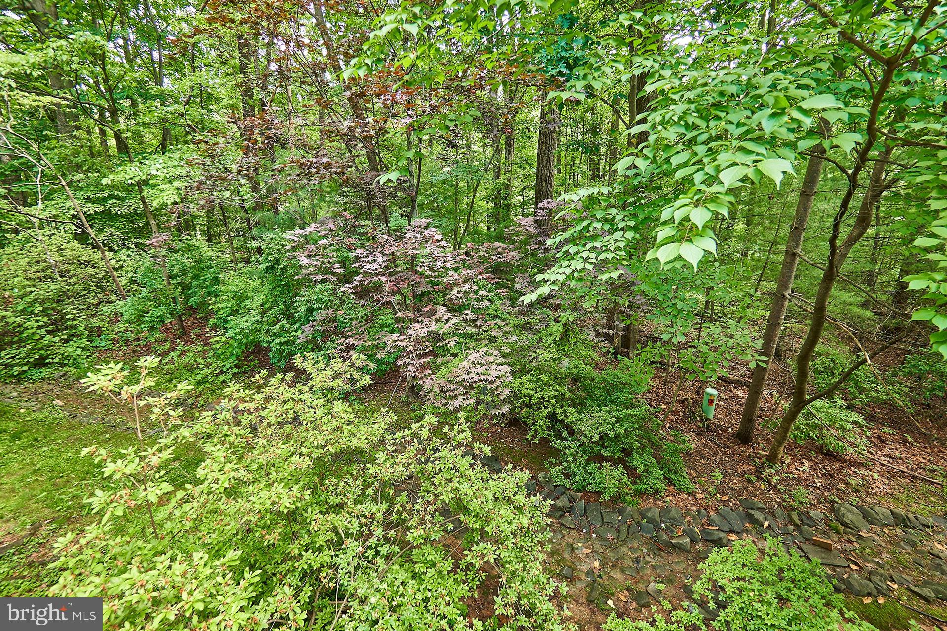 1509 Inlet Court Reston, VA 20190 - Photo 24 of 29 View from back deck