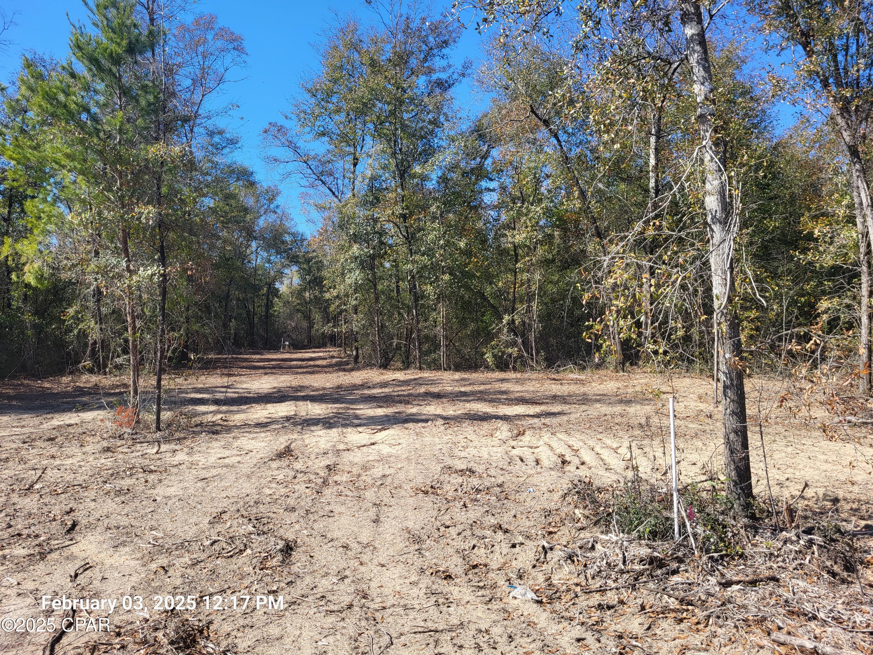 0 Tommy Tucker Road, Unit LOT 2 Altha, FL 32421 - Photo 2 of 26