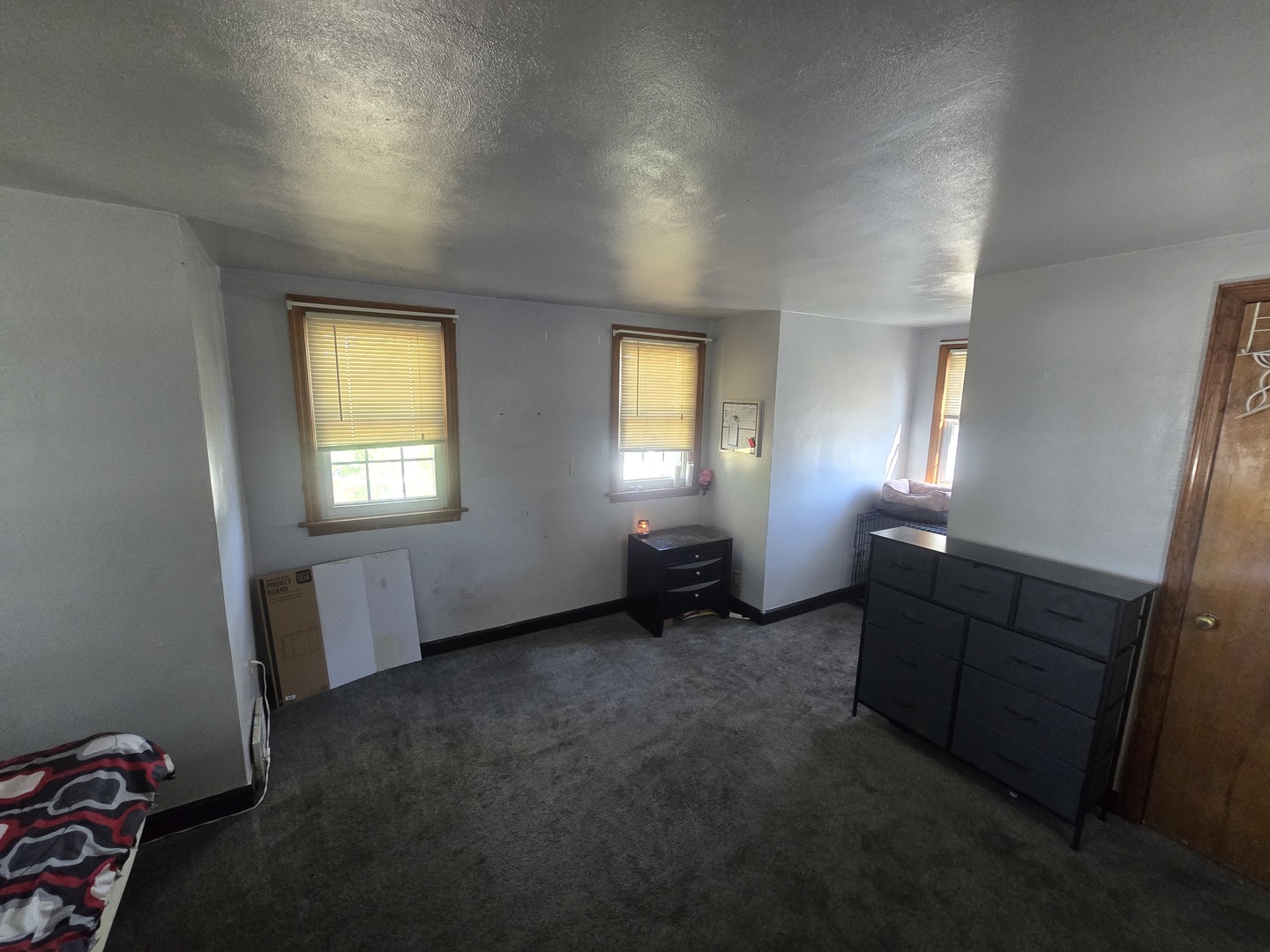 566 Hirsch Avenue Calumet City, IL 60409 - Photo 24 of 29 an empty room with windows and closet