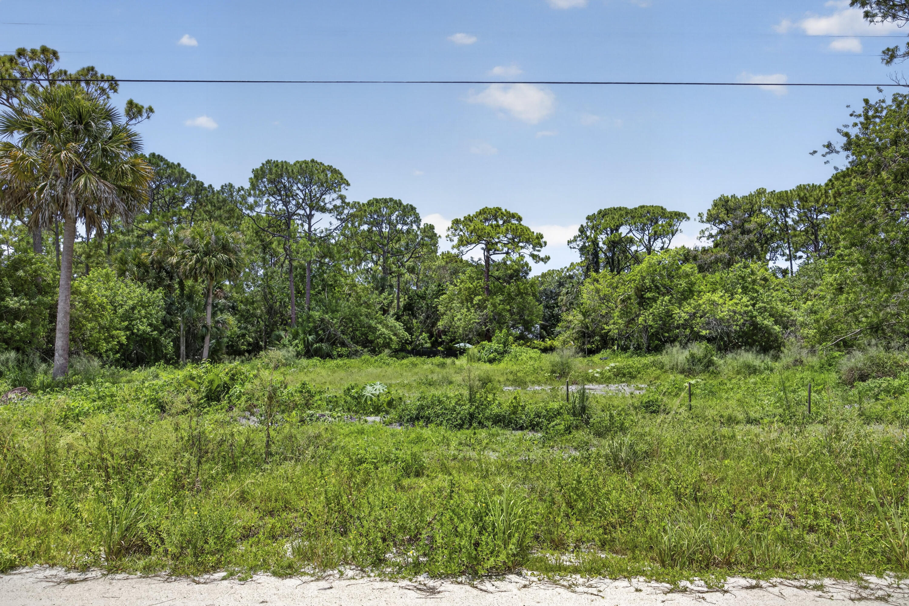 17072 93rd Road North The Acreage, FL 33470 - Photo 15 of 22 BS1A9389