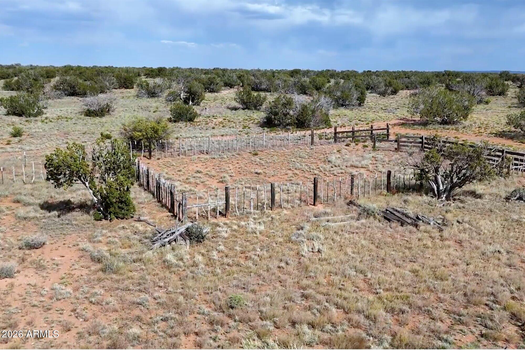100 South Duck Lake Road Heber, AZ 85928 - Photo 15 of 27 a view of a dry yard with lots of trees