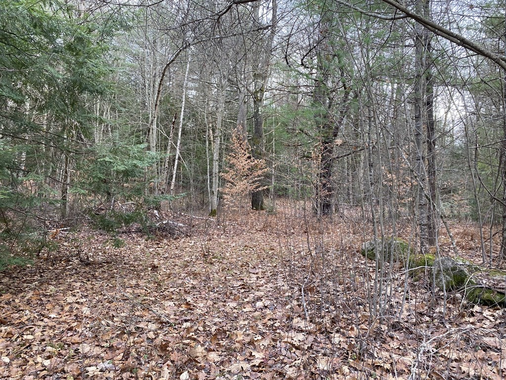 196 Jennison Road Wendell, MA 01379 - Photo 3 of 8 Gallery Image 3