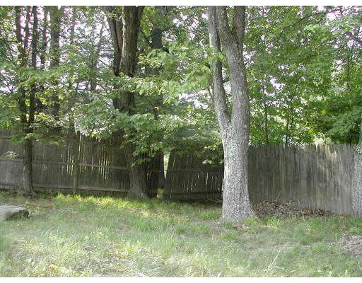8 Austin Road Billerica, MA 01821 - Photo 3 of 13 a backyard of a house with lots of green space