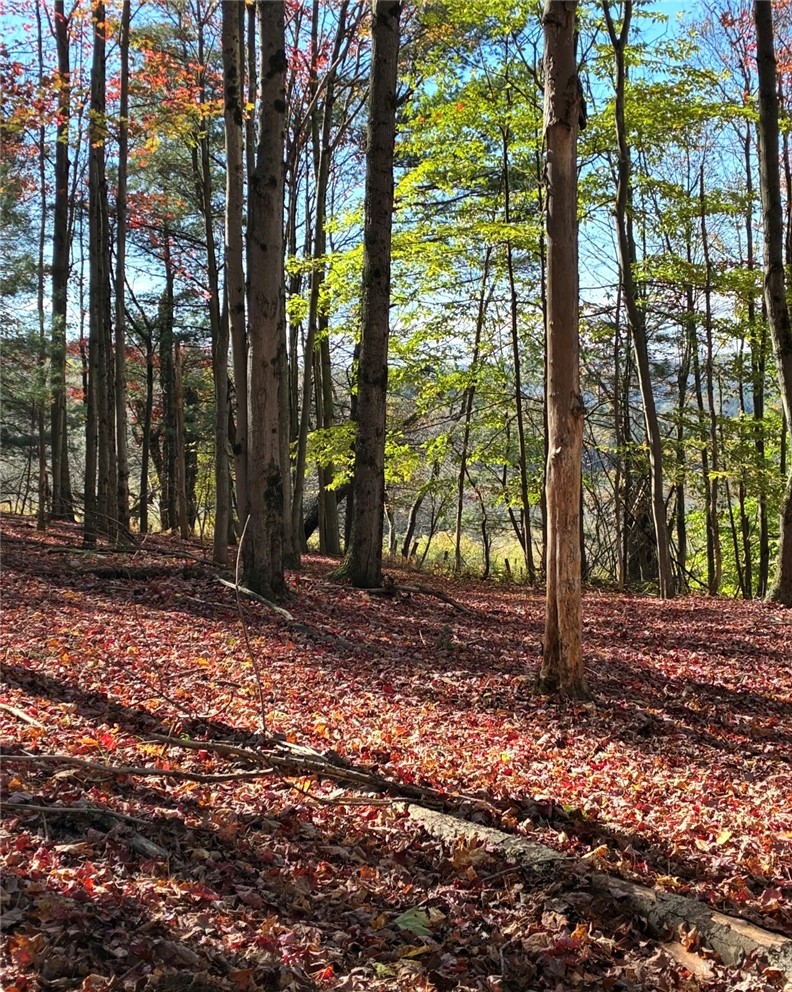 296 Camp Road Pittsfield, NY 13411 - Photo 30 of 30 Gallery Image 30