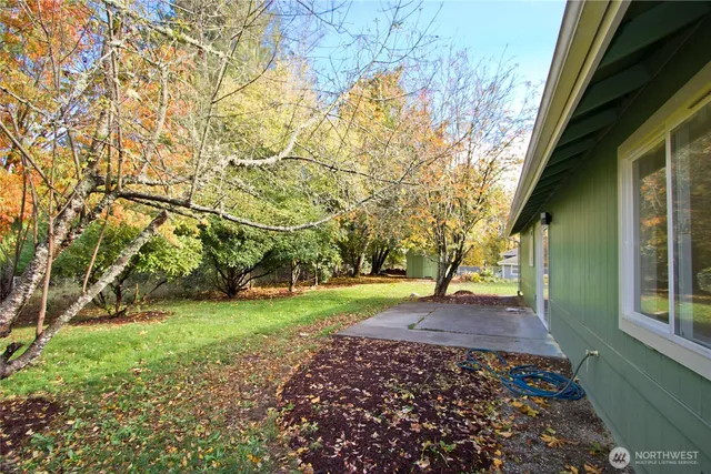 a view of a backyard with large trees