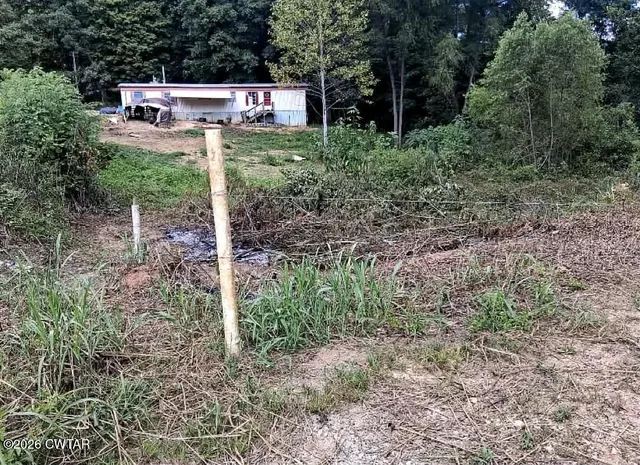 a view of a back yard