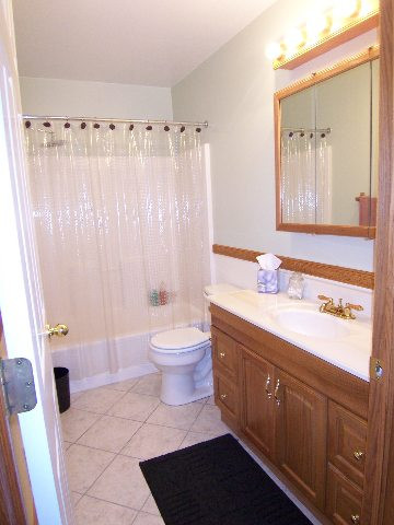 13171 Vischer Road Brooklyn, MI 49230 - Photo 9 of 11 Photo 9