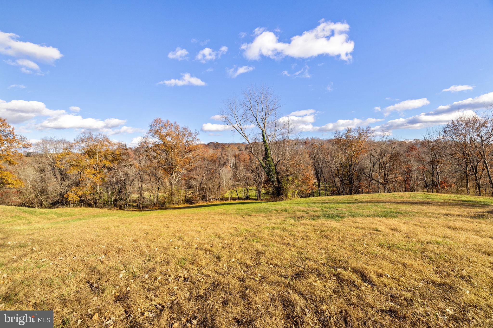 3383 Lost Corner Road Delaplane, VA 20144 - Photo 11 of 13 a view of an ocean