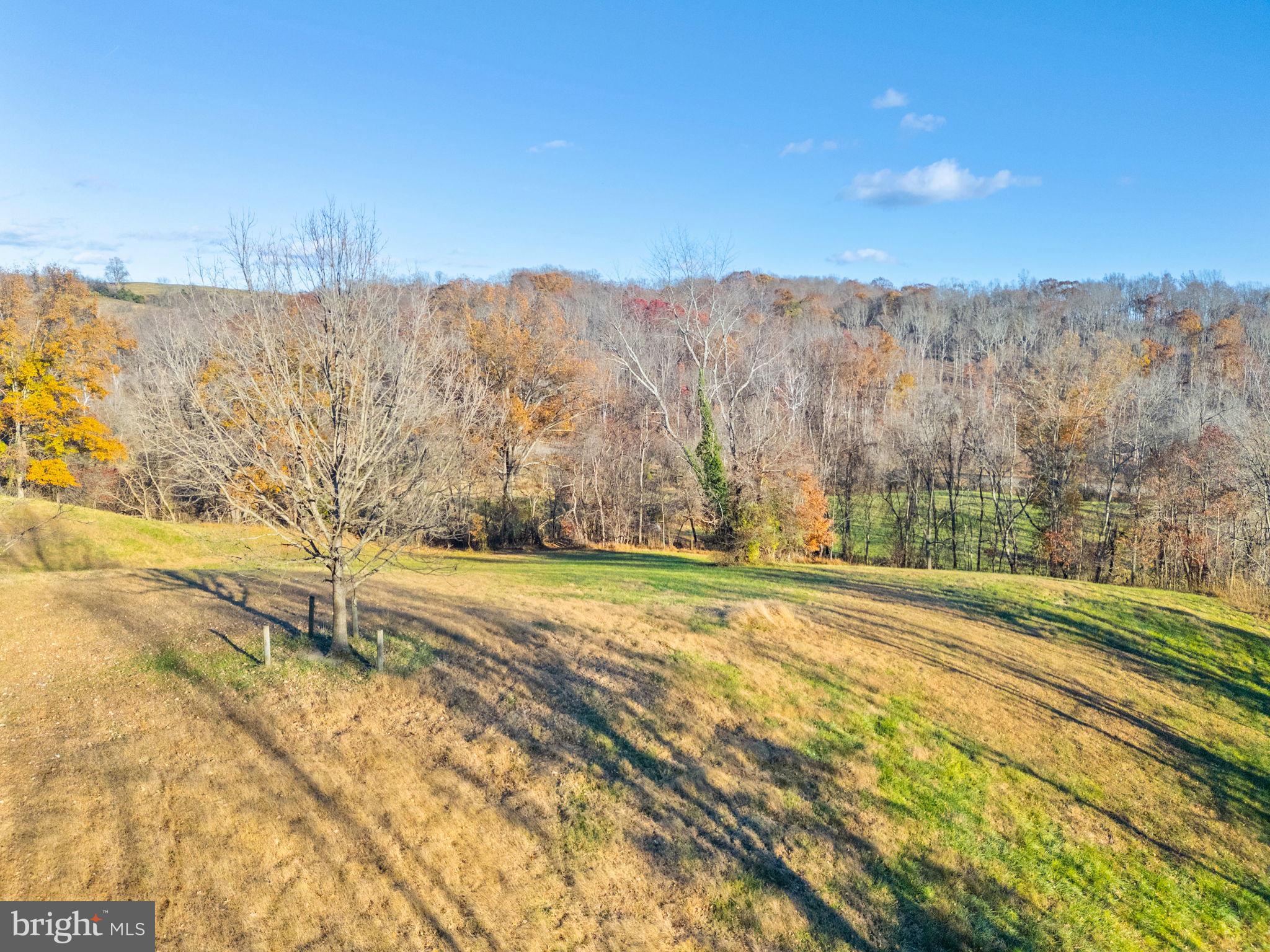 3383 Lost Corner Road Delaplane, VA 20144 - Photo 5 of 13 a view of a dry yard with wooden fence