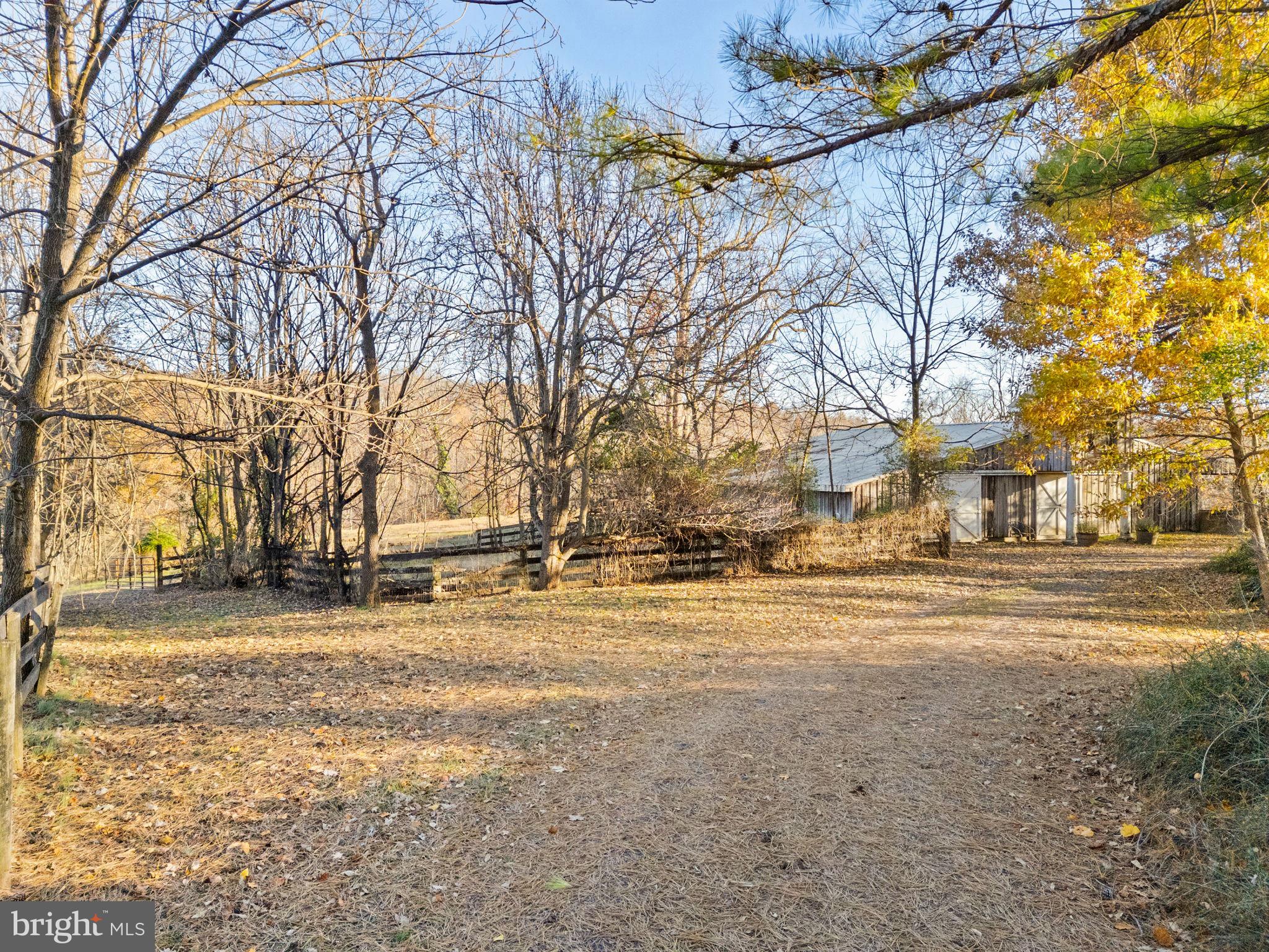 3383 Lost Corner Road Delaplane, VA 20144 - Photo 7 of 13 a view of road with large trees