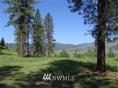 160 Boundary Road Danville, WA 99121 - Photo 1 of 1 Gallery Image 1