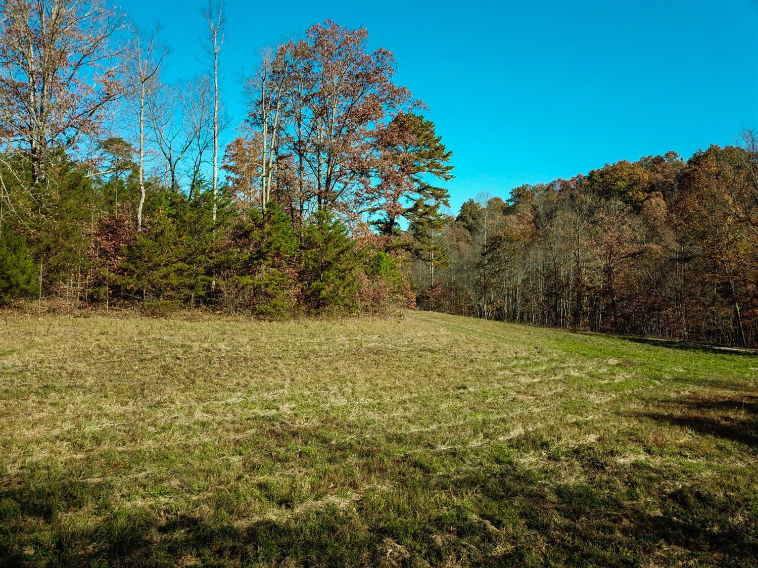 999 Red Davidson Road McKee, KY 40447 - Photo 13 of 45 Photo 13