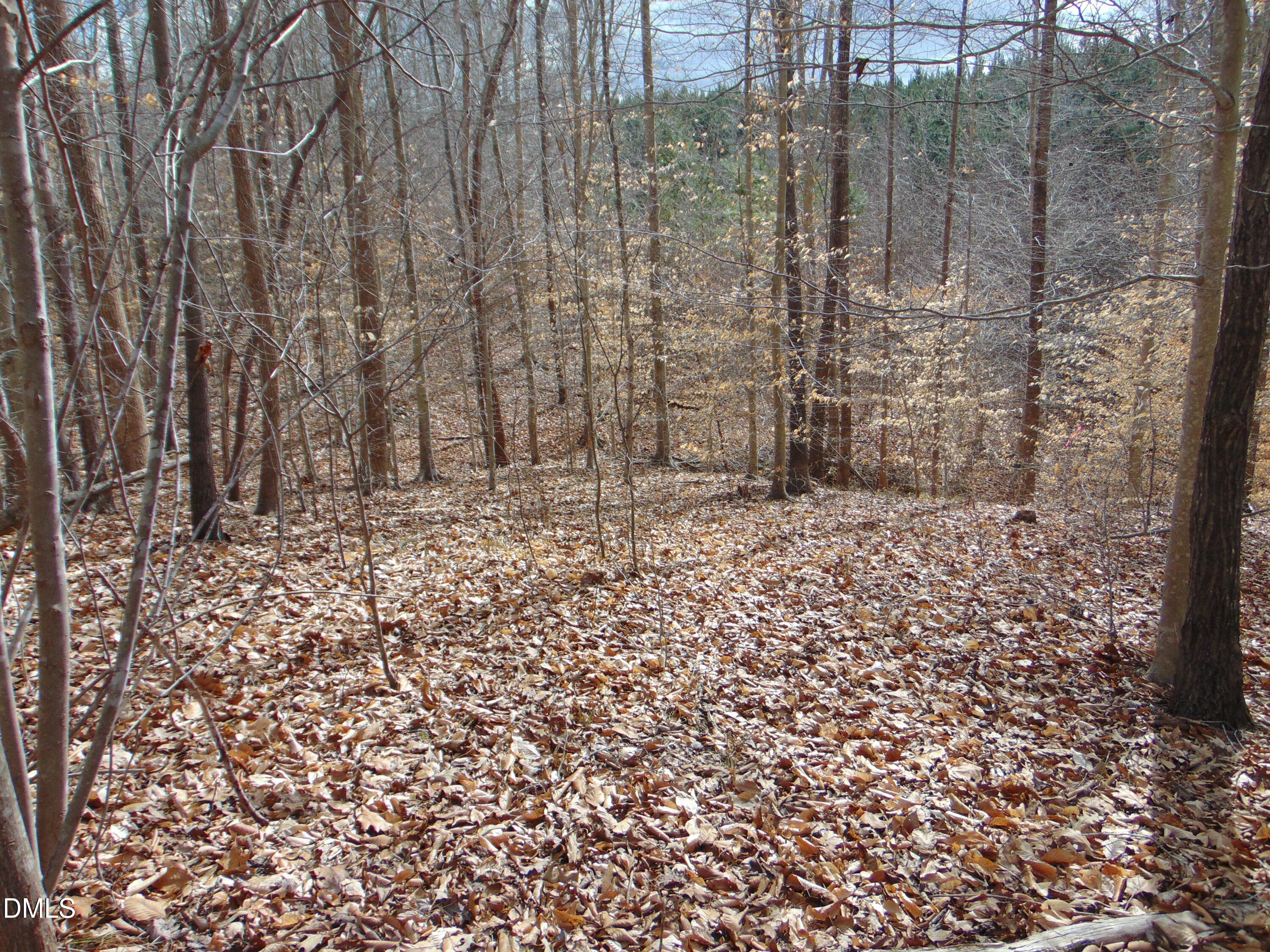 0 Walters Mill Road Providence, NC 27315 - Photo 11 of 20 a bathroom with a shower