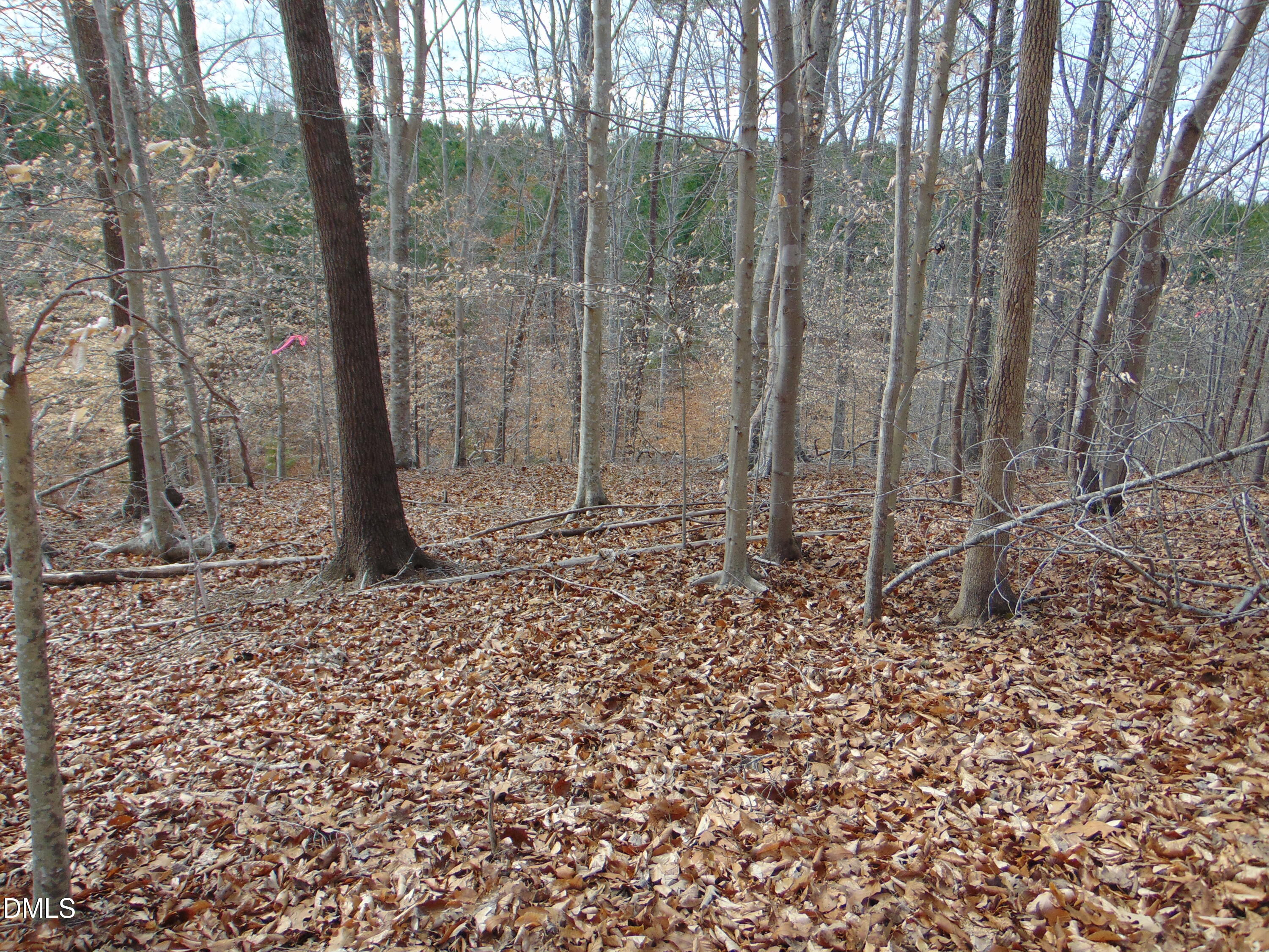 0 Walters Mill Road Providence, NC 27315 - Photo 12 of 20