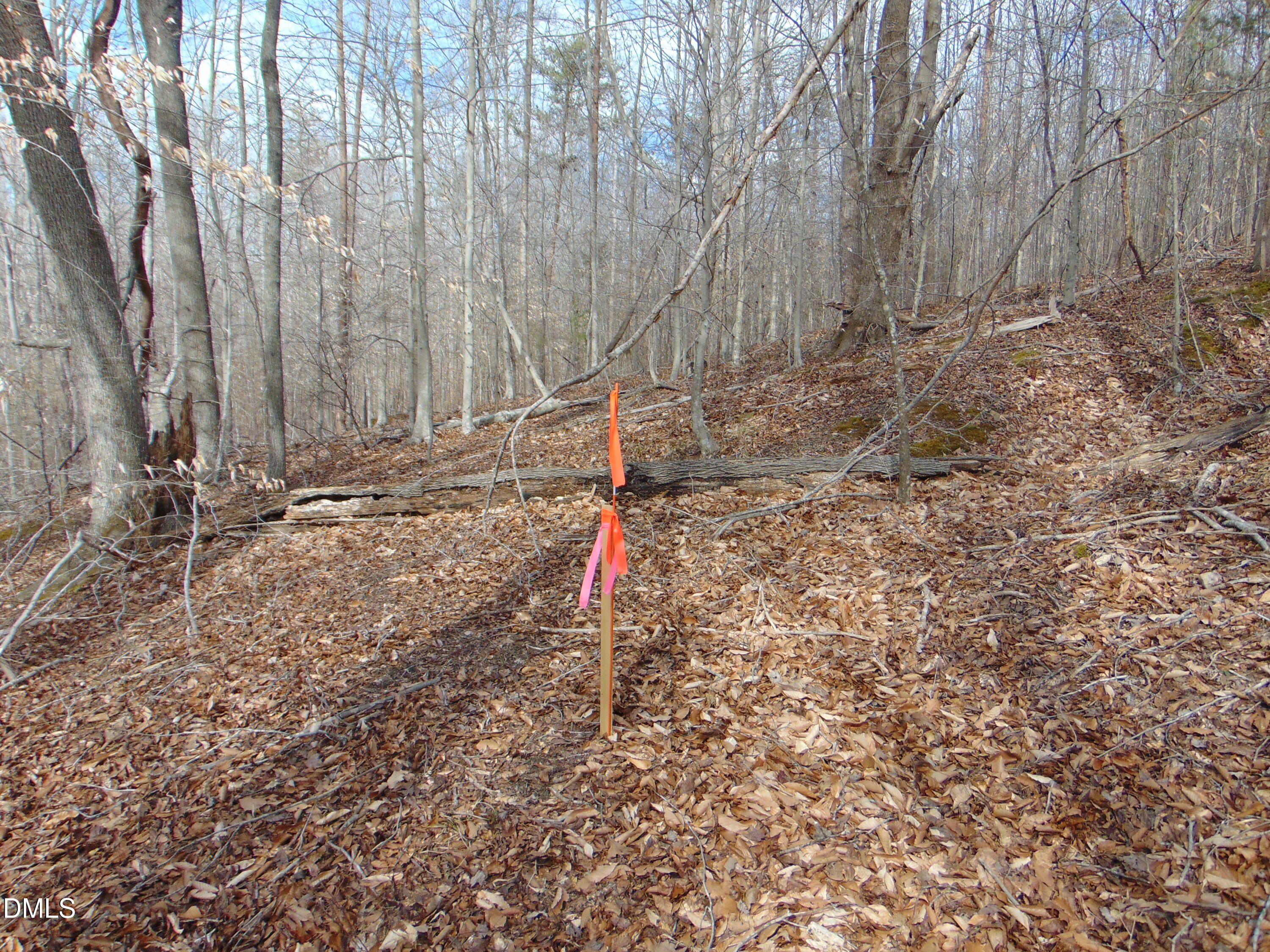 0 Walters Mill Road Providence, NC 27315 - Photo 13 of 20 a view of a backyard with trees
