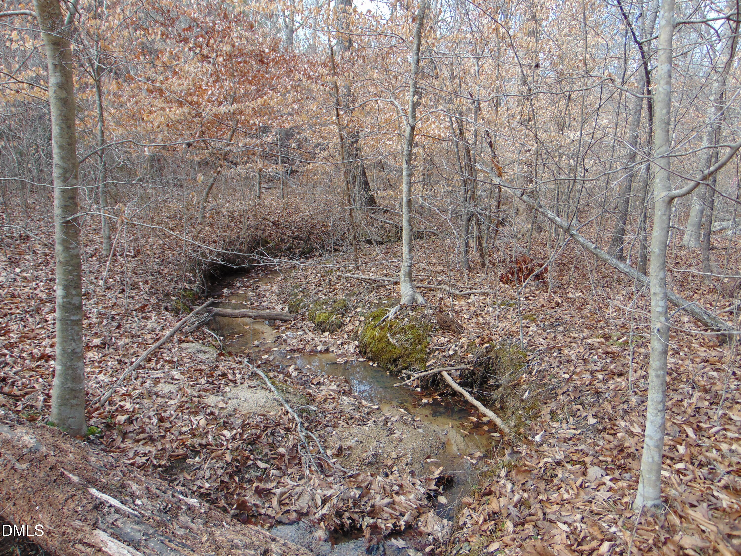 0 Walters Mill Road Providence, NC 27315 - Photo 14 of 20 a view of a dry yard with trees in the background