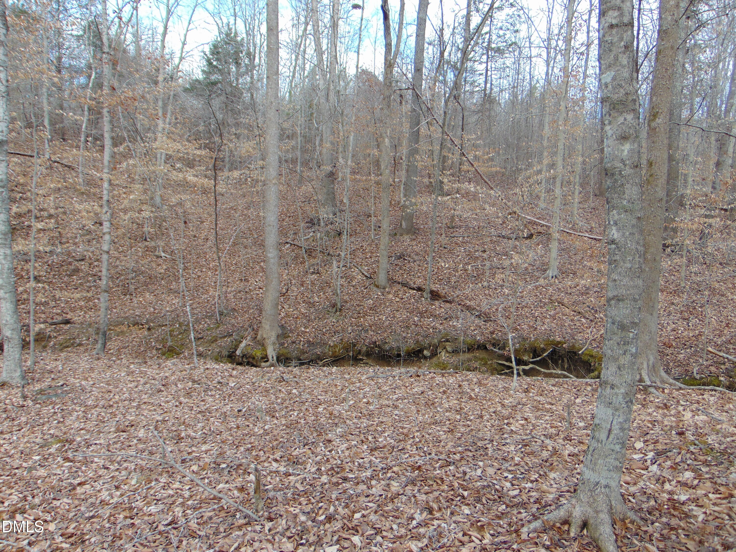 0 Walters Mill Road Providence, NC 27315 - Photo 17 of 20 a bathroom with a shower
