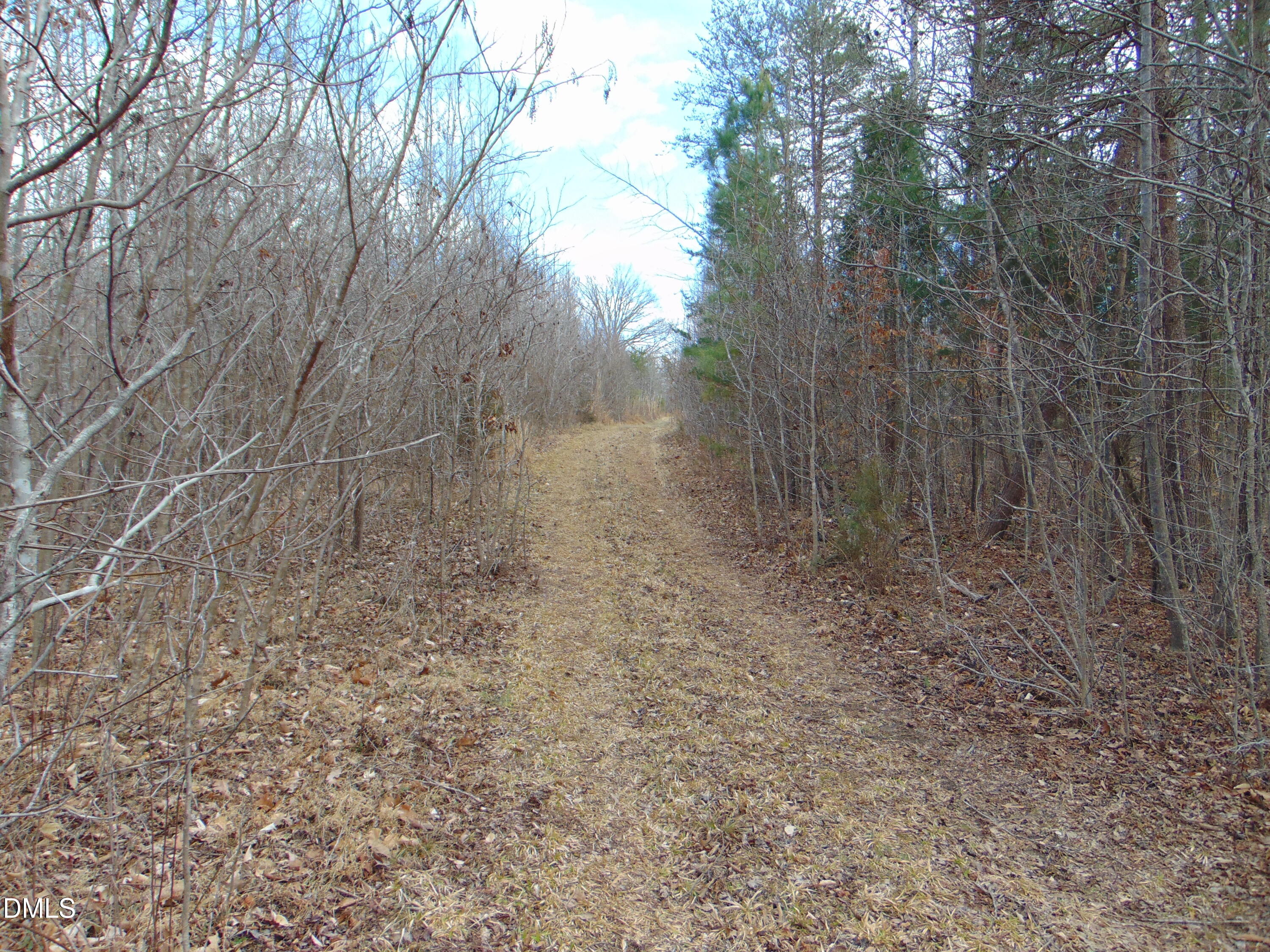 0 Walters Mill Road Providence, NC 27315 - Photo 19 of 20 a view of a yard with trees